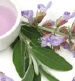 Pure Essential Oil Blends