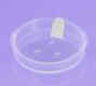 10 Gram Natural Sifter with Applied Sifter Sticker & Tab